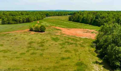 Photo #25 of 10281 Cherry Grove, Reidsville, NC 217.5 acres