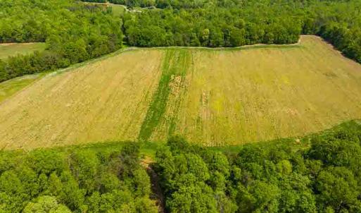 Photo #26 of 10281 Cherry Grove, Reidsville, NC 217.5 acres