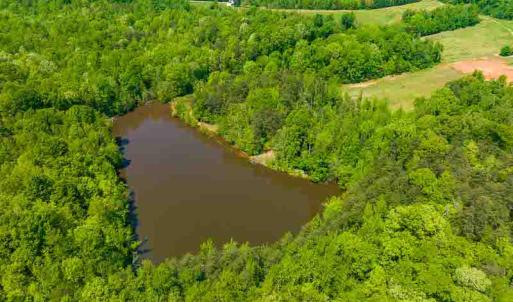 Photo #28 of 10281 Cherry Grove, Reidsville, NC 217.5 acres
