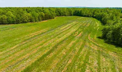 Photo #29 of 10281 Cherry Grove, Reidsville, NC 217.5 acres