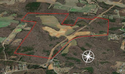 Photo #30 of 10281 Cherry Grove, Reidsville, NC 217.5 acres
