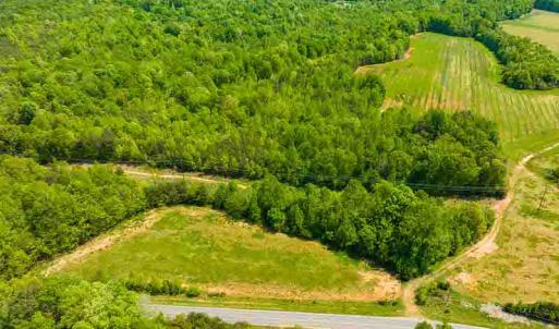 Photo #31 of 10281 Cherry Grove, Reidsville, NC 217.5 acres
