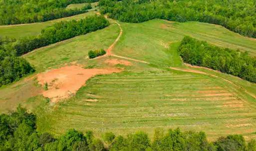 Photo #32 of 10281 Cherry Grove, Reidsville, NC 217.5 acres
