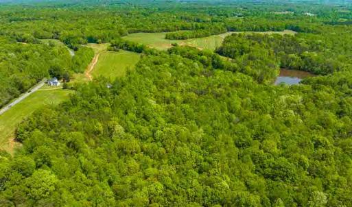Photo #33 of 10281 Cherry Grove, Reidsville, NC 217.5 acres
