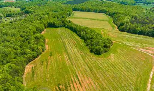 Photo #34 of 10281 Cherry Grove, Reidsville, NC 217.5 acres