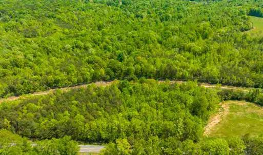 Photo #35 of 10281 Cherry Grove, Reidsville, NC 217.5 acres