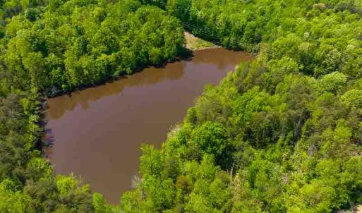 Photo #36 of 10281 Cherry Grove, Reidsville, NC 217.5 acres
