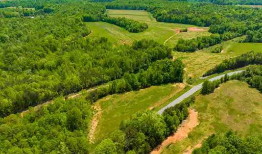 Photo #39 of 10281 Cherry Grove, Reidsville, NC 217.5 acres