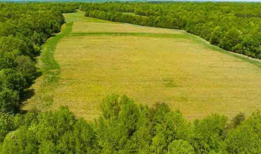 Photo #40 of 10281 Cherry Grove, Reidsville, NC 217.5 acres