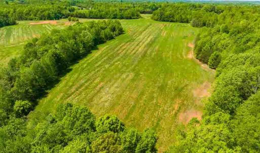 Photo #41 of 10281 Cherry Grove, Reidsville, NC 217.5 acres