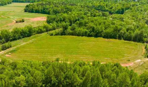 Photo #42 of 10281 Cherry Grove, Reidsville, NC 217.5 acres