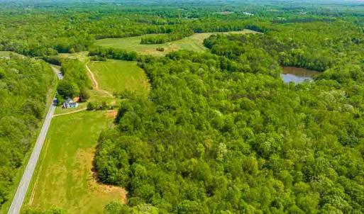 Photo #43 of 10281 Cherry Grove, Reidsville, NC 217.5 acres