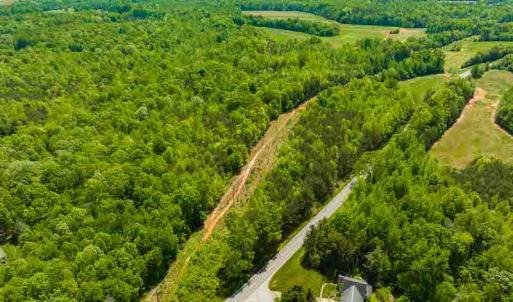 Photo #44 of 10281 Cherry Grove, Reidsville, NC 217.5 acres