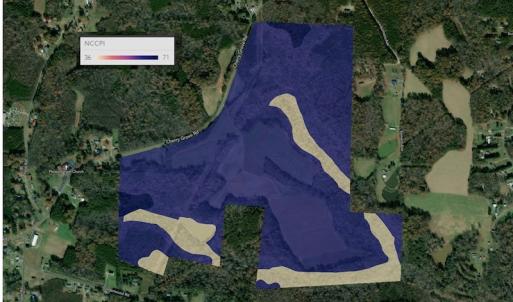 Photo #45 of 10281 Cherry Grove, Reidsville, NC 217.5 acres