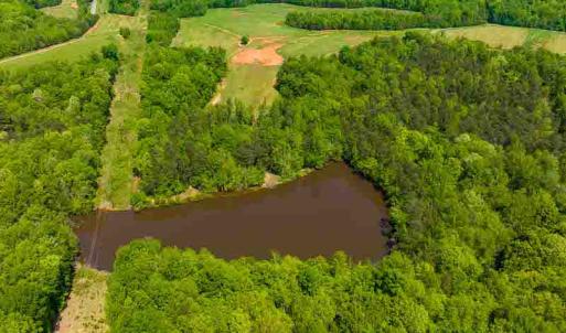 Photo #49 of 10281 Cherry Grove, Reidsville, NC 217.5 acres