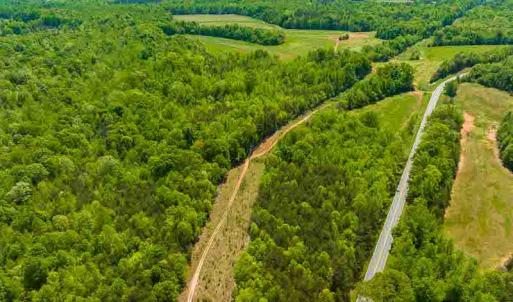 Photo #50 of 10281 Cherry Grove, Reidsville, NC 217.5 acres