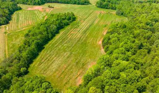 Photo #52 of 10281 Cherry Grove, Reidsville, NC 217.5 acres