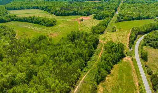 Photo #53 of 10281 Cherry Grove, Reidsville, NC 217.5 acres