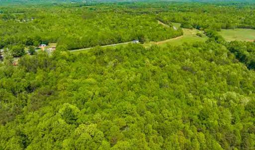 Photo #54 of 10281 Cherry Grove, Reidsville, NC 217.5 acres