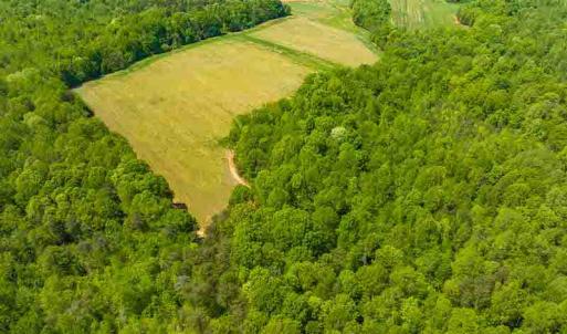 Photo #56 of 10281 Cherry Grove, Reidsville, NC 217.5 acres