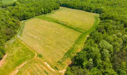 Photo #58 of 10281 Cherry Grove, Reidsville, NC 217.5 acres
