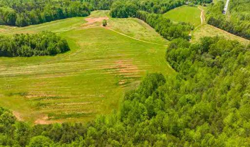 Photo #59 of 10281 Cherry Grove, Reidsville, NC 217.5 acres