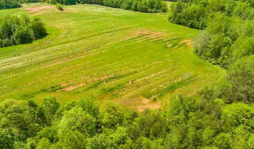 Photo #61 of 10281 Cherry Grove, Reidsville, NC 217.5 acres