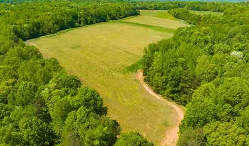 Photo #62 of 10281 Cherry Grove, Reidsville, NC 217.5 acres