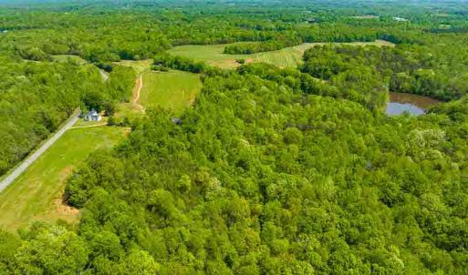 Photo #63 of 10281 Cherry Grove, Reidsville, NC 217.5 acres