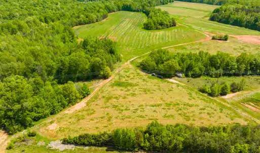 Photo #64 of 10281 Cherry Grove, Reidsville, NC 217.5 acres
