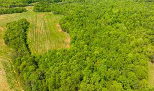 Photo #65 of 10281 Cherry Grove, Reidsville, NC 217.5 acres