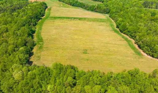 Photo #66 of 10281 Cherry Grove, Reidsville, NC 217.5 acres
