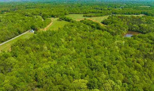 Photo #67 of 10281 Cherry Grove, Reidsville, NC 217.5 acres