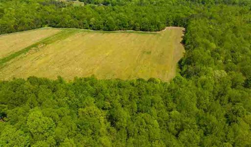 Photo #69 of 10281 Cherry Grove, Reidsville, NC 217.5 acres