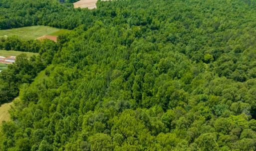 Photo #6 of SOLD property in Off Walnut Grove Church Rd, Hillsborough, NC 16.2 acres