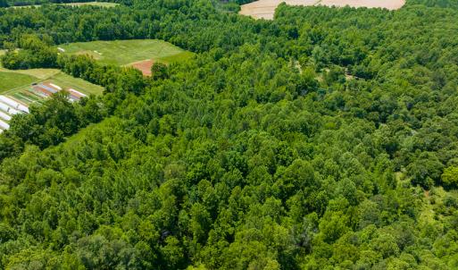 Photo #8 of SOLD property in Off Walnut Grove Church Rd, Hillsborough, NC 16.2 acres