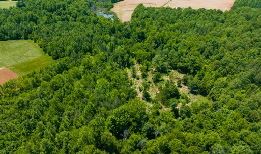 Photo #10 of SOLD property in Off Walnut Grove Church Rd, Hillsborough, NC 16.2 acres