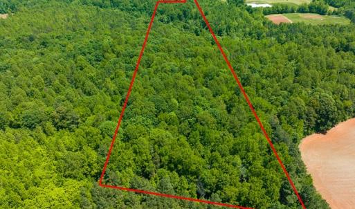 Photo #11 of SOLD property in Off Walnut Grove Church Rd, Hillsborough, NC 16.2 acres