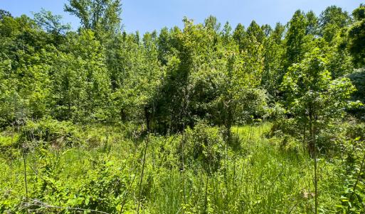 Photo #12 of SOLD property in Off Walnut Grove Church Rd, Hillsborough, NC 16.2 acres