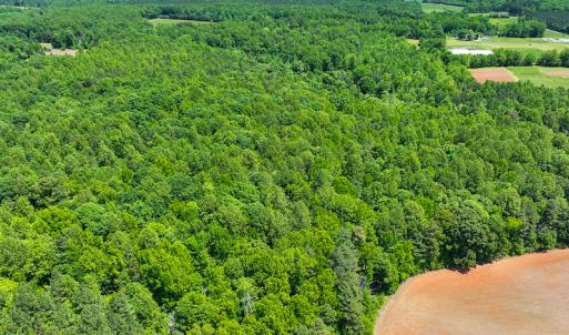 Photo #13 of SOLD property in Off Walnut Grove Church Rd, Hillsborough, NC 16.2 acres