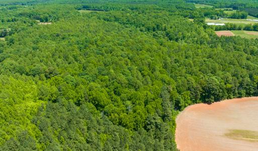 Photo #15 of SOLD property in Off Walnut Grove Church Rd, Hillsborough, NC 16.2 acres