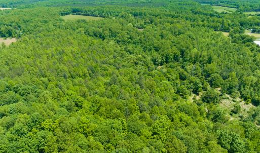 Photo #17 of SOLD property in Off Walnut Grove Church Rd, Hillsborough, NC 16.2 acres