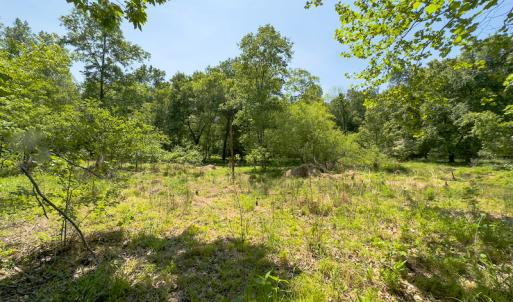 Photo #21 of SOLD property in Off Walnut Grove Church Rd, Hillsborough, NC 16.2 acres