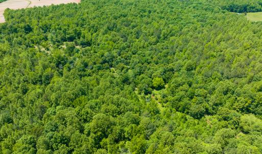 Photo #24 of SOLD property in Off Walnut Grove Church Rd, Hillsborough, NC 16.2 acres