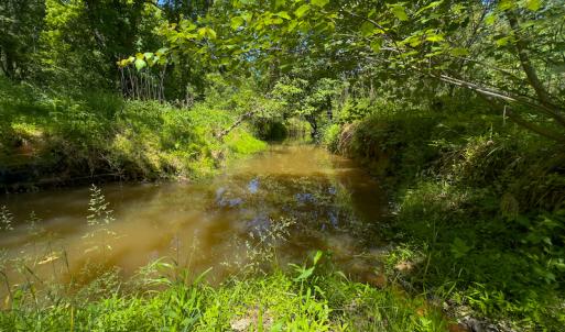 Photo #25 of SOLD property in Off Walnut Grove Church Rd, Hillsborough, NC 16.2 acres