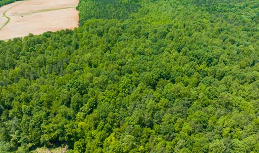 Photo #26 of SOLD property in Off Walnut Grove Church Rd, Hillsborough, NC 16.2 acres
