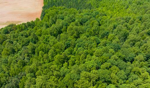 Photo #28 of SOLD property in Off Walnut Grove Church Rd, Hillsborough, NC 16.2 acres