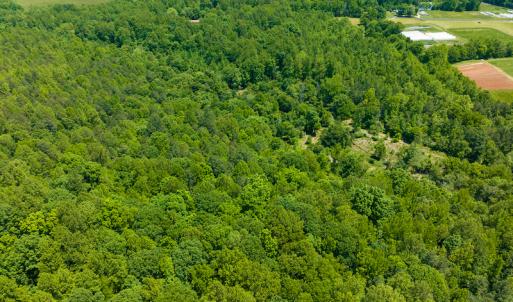 Photo #29 of SOLD property in Off Walnut Grove Church Rd, Hillsborough, NC 16.2 acres