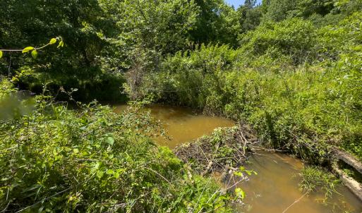 Photo #34 of SOLD property in Off Walnut Grove Church Rd, Hillsborough, NC 16.2 acres