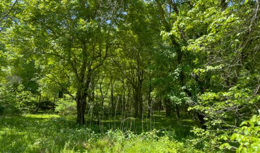 Photo #36 of SOLD property in Off Walnut Grove Church Rd, Hillsborough, NC 16.2 acres